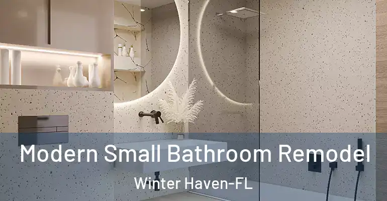 inner Bathroom imggen Modern Small Bathroom Remodel Winter Haven-FL