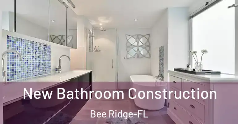 inner Bathroom imggen New Bathroom Construction Bee Ridge-FL