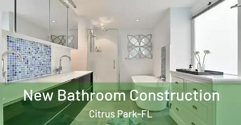 inner Bathroom imggen New Bathroom Construction Citrus Park-FL