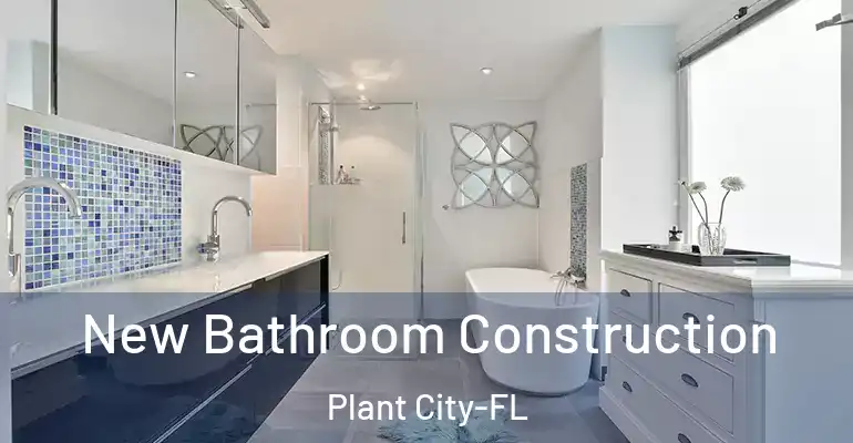 inner Bathroom imggen New Bathroom Construction Plant City-FL