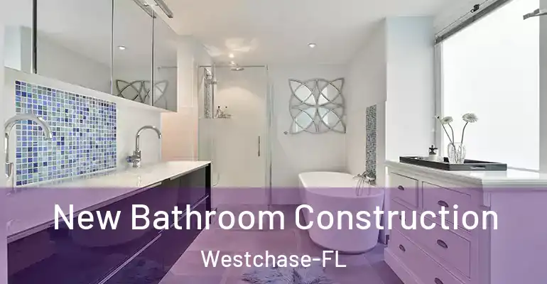 inner Bathroom imggen New Bathroom Construction Westchase-FL