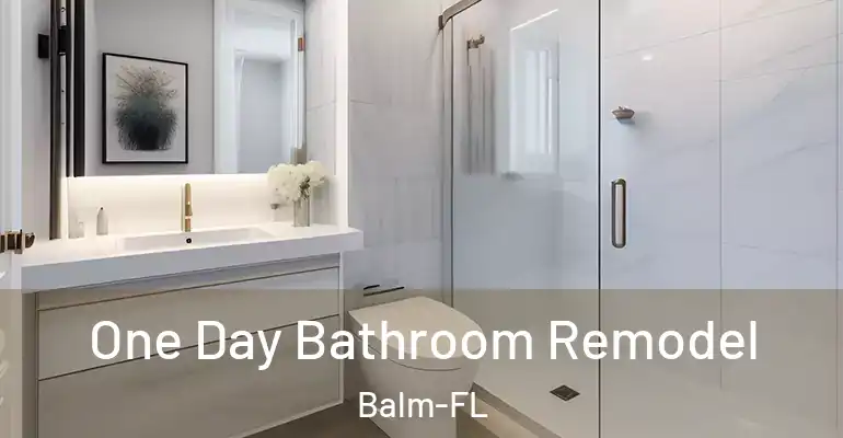 inner Bathroom imggen One Day Bathroom Remodel Balm-FL