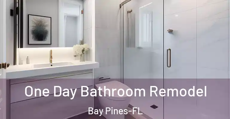 inner Bathroom imggen One Day Bathroom Remodel Bay Pines-FL