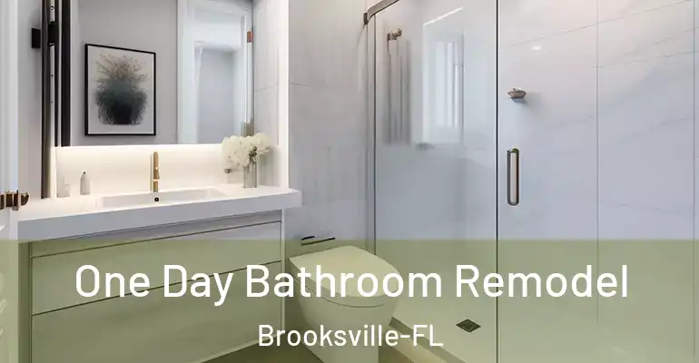 inner Bathroom imggen One Day Bathroom Remodel Brooksville-FL