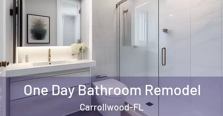 inner Bathroom imggen One Day Bathroom Remodel Carrollwood-FL
