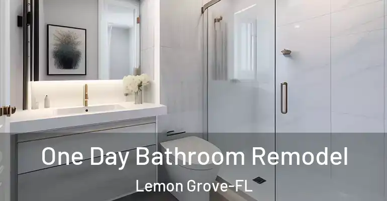inner Bathroom imggen One Day Bathroom Remodel Lemon Grove-FL