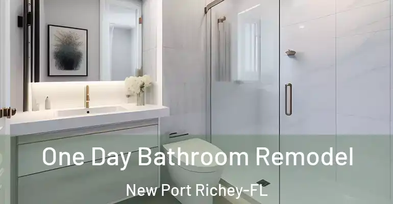 inner Bathroom imggen One Day Bathroom Remodel New Port Richey-FL