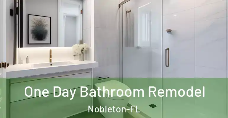 inner Bathroom imggen One Day Bathroom Remodel Nobleton-FL