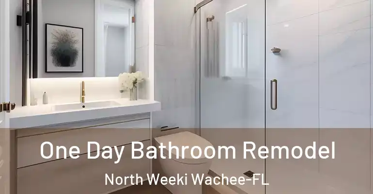 inner Bathroom imggen One Day Bathroom Remodel North Weeki Wachee-FL