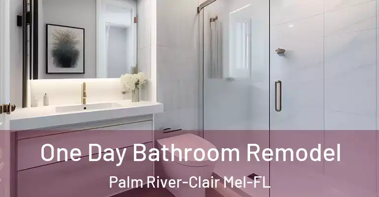 inner Bathroom imggen One Day Bathroom Remodel Palm River-Clair Mel-FL