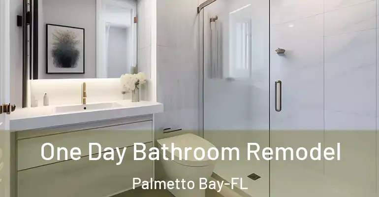 inner Bathroom imggen One Day Bathroom Remodel Palmetto Bay-FL
