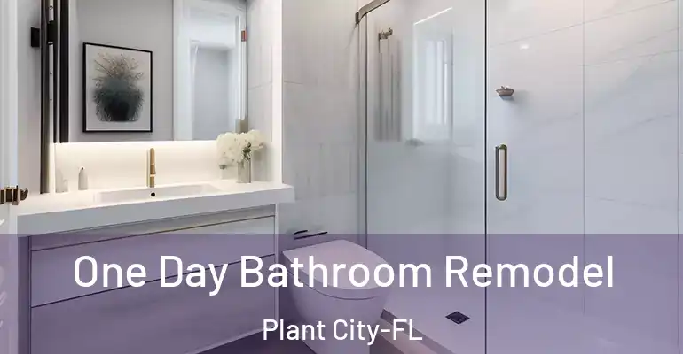 inner Bathroom imggen One Day Bathroom Remodel Plant City-FL