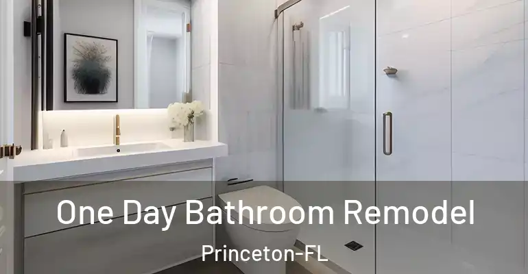 inner Bathroom imggen One Day Bathroom Remodel Princeton-FL