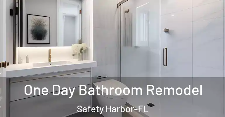 inner Bathroom imggen One Day Bathroom Remodel Safety Harbor-FL