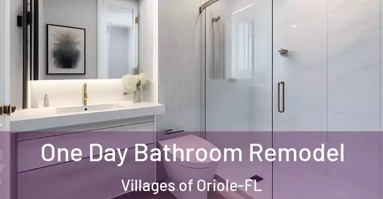 inner Bathroom imggen One Day Bathroom Remodel Villages of Oriole-FL