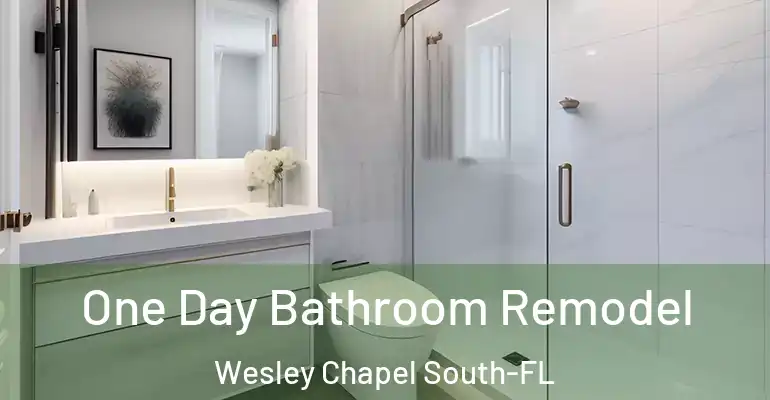 inner Bathroom imggen One Day Bathroom Remodel Wesley Chapel South-FL
