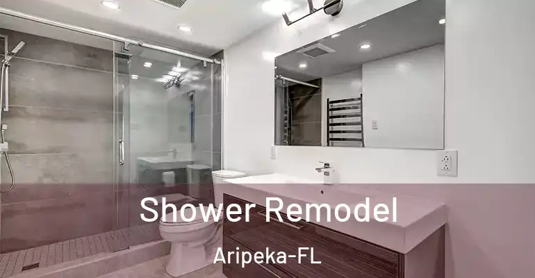 inner Bathroom imggen Shower Remodel Aripeka-FL