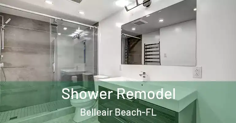 inner Bathroom imggen Shower Remodel Belleair Beach-FL