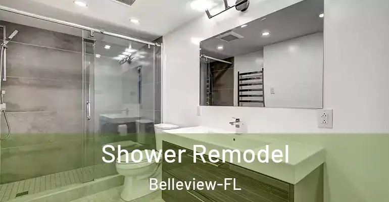inner Bathroom imggen Shower Remodel Belleview-FL