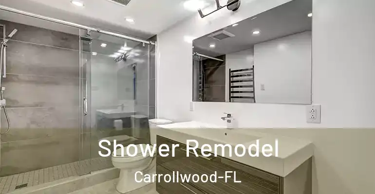 inner Bathroom imggen Shower Remodel Carrollwood-FL