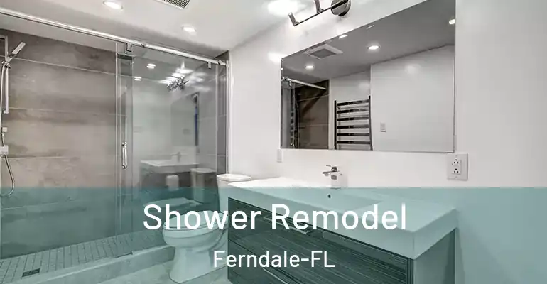 inner Bathroom imggen Shower Remodel Ferndale-FL