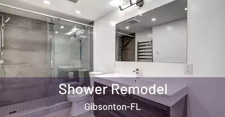inner Bathroom imggen Shower Remodel Gibsonton-FL