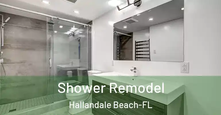 inner Bathroom imggen Shower Remodel Hallandale Beach-FL