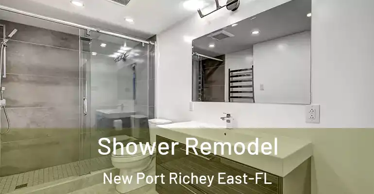 inner Bathroom imggen Shower Remodel New Port Richey East-FL