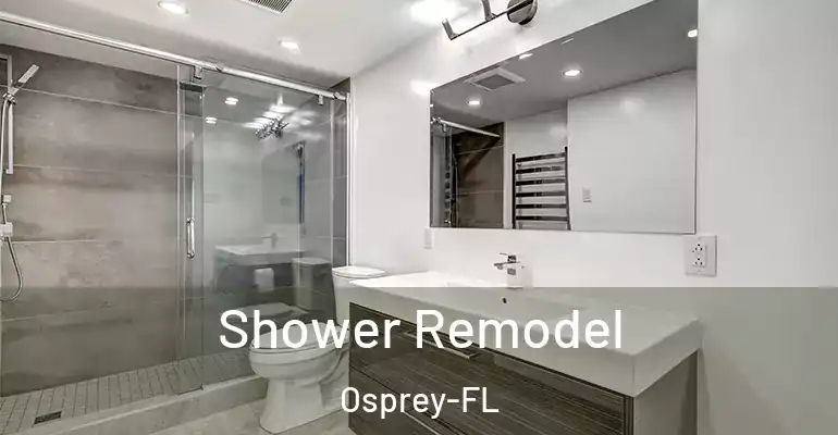 inner Bathroom imggen Shower Remodel Osprey-FL