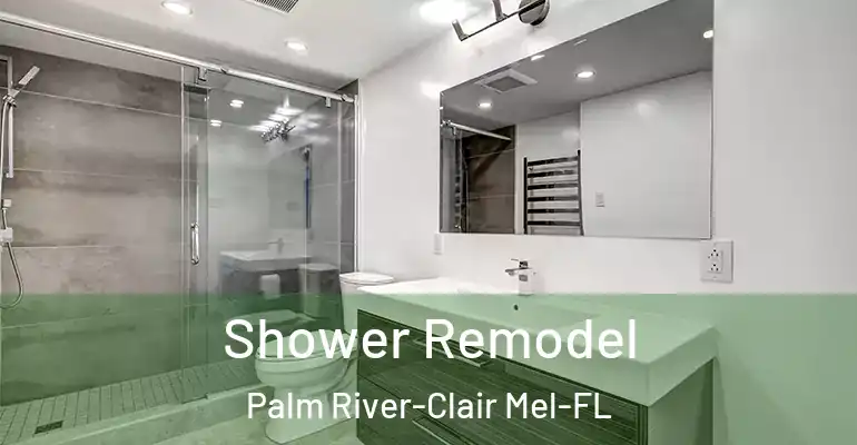 inner Bathroom imggen Shower Remodel Palm River-Clair Mel-FL