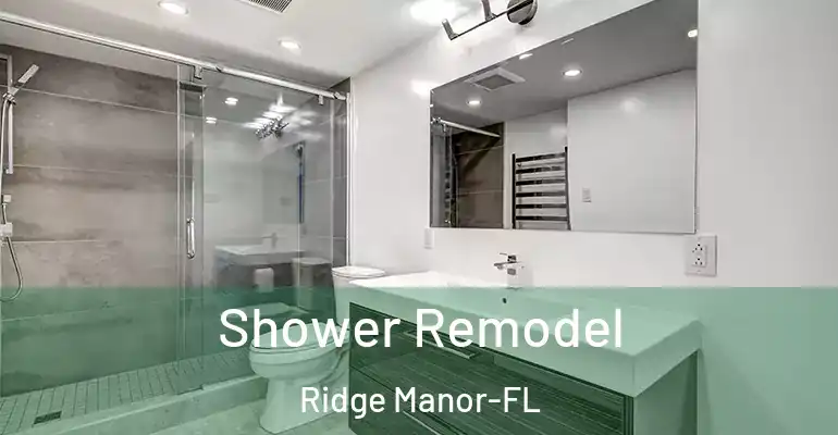 inner Bathroom imggen Shower Remodel Ridge Manor-FL