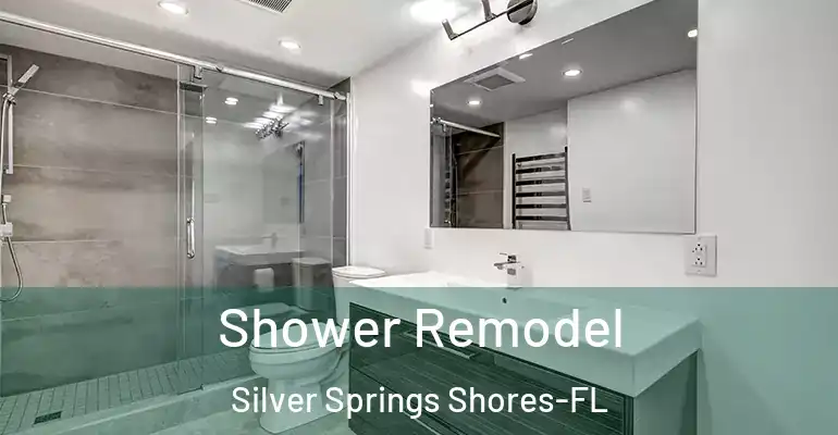 inner Bathroom imggen Shower Remodel Silver Springs Shores-FL