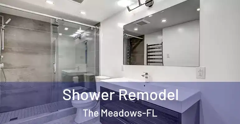 inner Bathroom imggen Shower Remodel The Meadows-FL