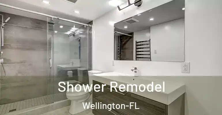 inner Bathroom imggen Shower Remodel Wellington-FL