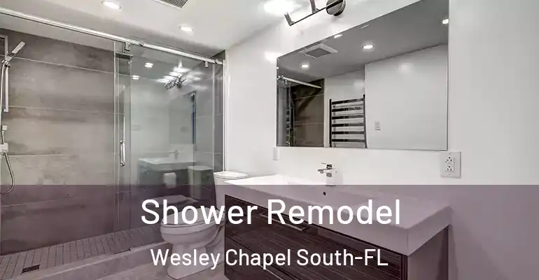 inner Bathroom imggen Shower Remodel Wesley Chapel South-FL