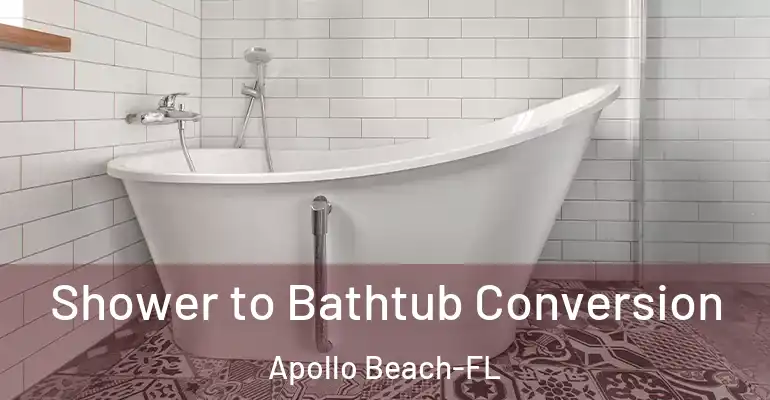 inner Bathroom imggen Shower to Bathtub Conversion Apollo Beach-FL