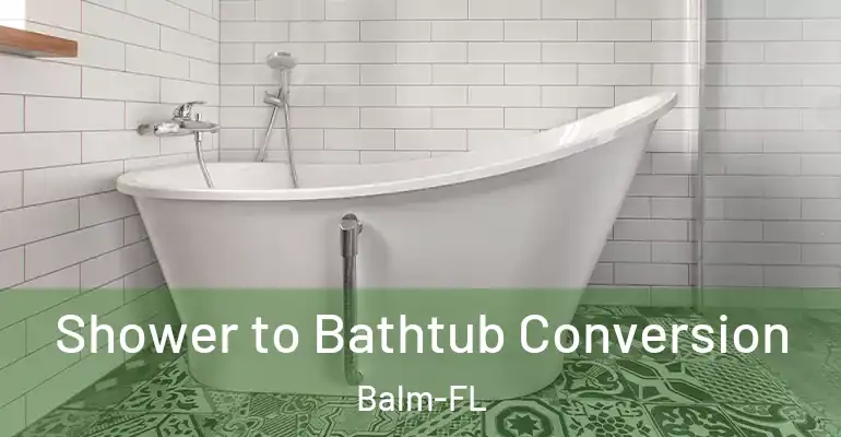 inner Bathroom imggen Shower to Bathtub Conversion Balm-FL