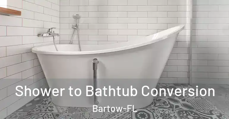 inner Bathroom imggen Shower to Bathtub Conversion Bartow-FL