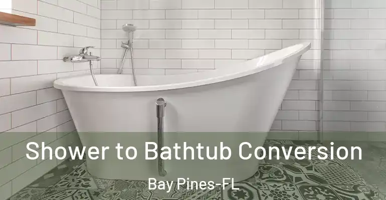 inner Bathroom imggen Shower to Bathtub Conversion Bay Pines-FL