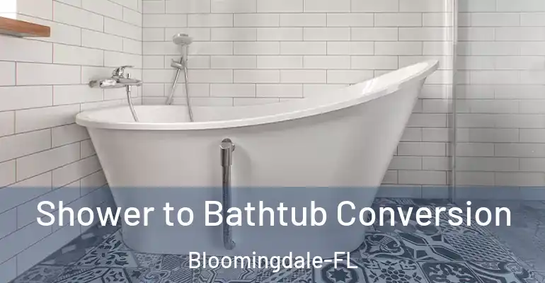 inner Bathroom imggen Shower to Bathtub Conversion Bloomingdale-FL