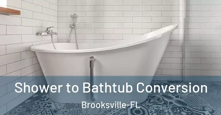 inner Bathroom imggen Shower to Bathtub Conversion Brooksville-FL