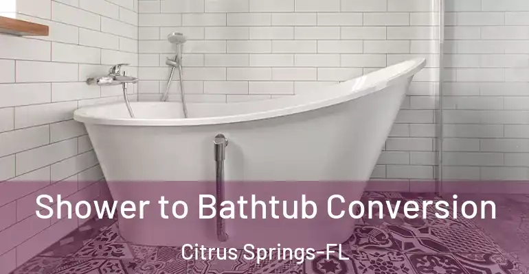 inner Bathroom imggen Shower to Bathtub Conversion Citrus Springs-FL