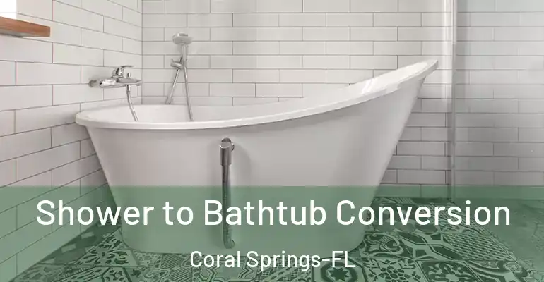 inner Bathroom imggen Shower to Bathtub Conversion Coral Springs-FL