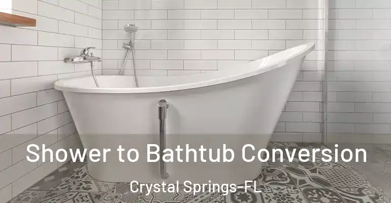 inner Bathroom imggen Shower to Bathtub Conversion Crystal Springs-FL