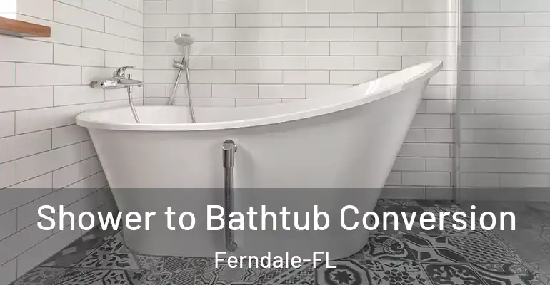 inner Bathroom imggen Shower to Bathtub Conversion Ferndale-FL