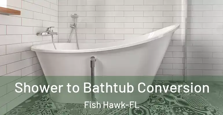 inner Bathroom imggen Shower to Bathtub Conversion Fish Hawk-FL