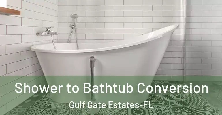 inner Bathroom imggen Shower to Bathtub Conversion Gulf Gate Estates-FL