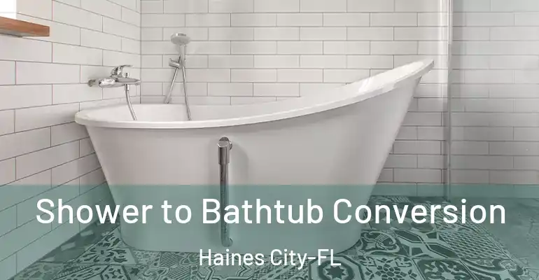 inner Bathroom imggen Shower to Bathtub Conversion Haines City-FL