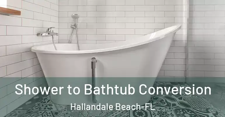 inner Bathroom imggen Shower to Bathtub Conversion Hallandale Beach-FL