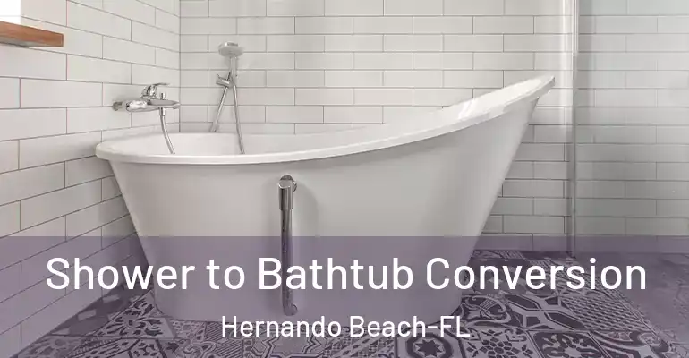 inner Bathroom imggen Shower to Bathtub Conversion Hernando Beach-FL